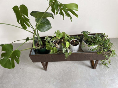 
                  
                    Plantenbak Kai Kristiansen donker eiken - LOUI.STORE
                  
                