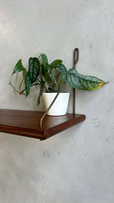
                  
                    Teak wandplankje (small) - LOUI.STORE
                  
                