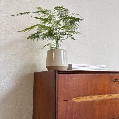 
                  
                    Vintage ladekast teruggevallen greep - LOUI.STORE
                  
                