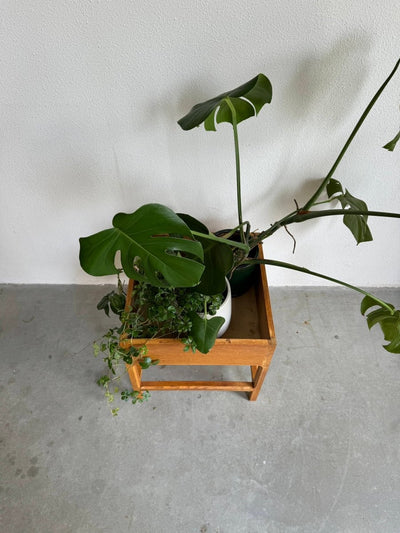 
                  
                    Vintage plantenbak Kai Kristiansen eiken - LOUI.STORE
                  
                