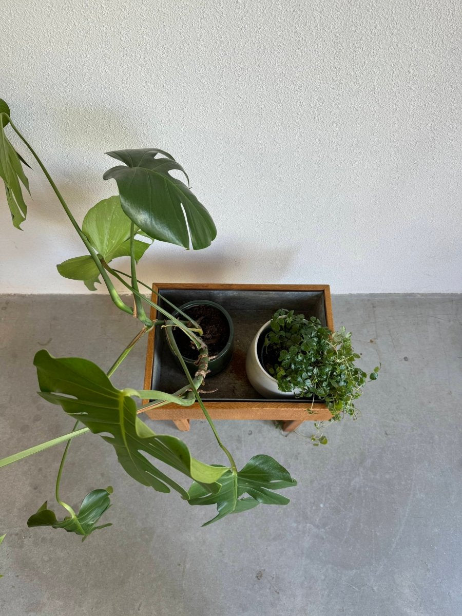 
                  
                    Vintage plantenbak Kai Kristiansen eiken - LOUI.STORE
                  
                