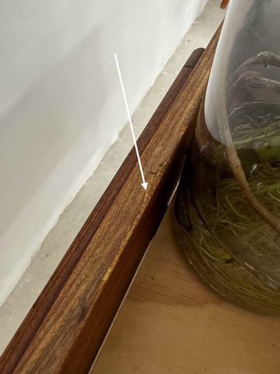 
                  
                    Vintage plantenbak teak - LOUI.STORE
                  
                