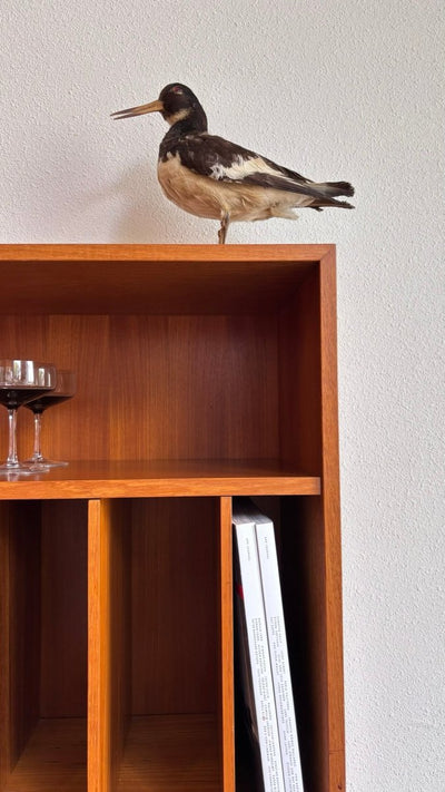 Vintage vinyl boekenkastje - LOUI.STORE