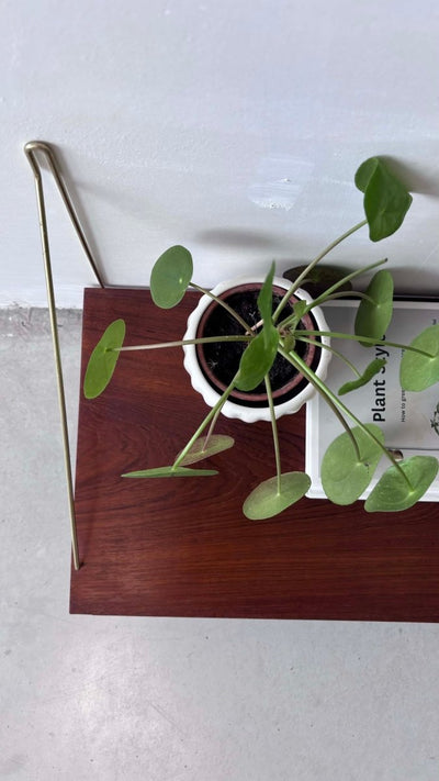 
                  
                    Wandplank teak xl - LOUI.STORE
                  
                