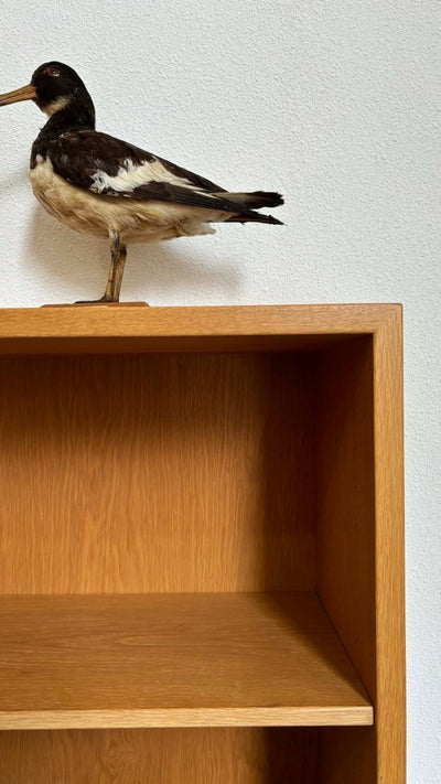 
                  
                    Boekenkast Karl Andersson eiken - LOUI.STORE
                  
                