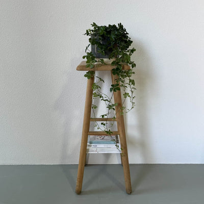 Grenen kruk - LOUI.STORE