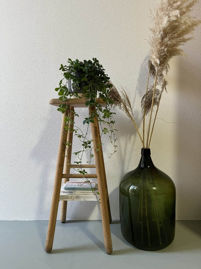 
                  
                    Grenen kruk - LOUI.STORE
                  
                