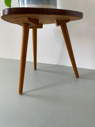 
                  
                    Plantentafeltje formica
                  
                