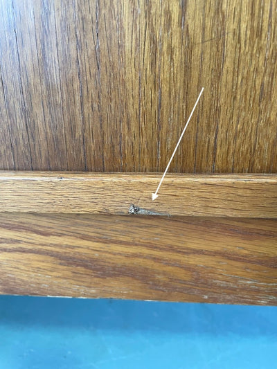 
                  
                    Lowboard eik tambourdeuren - LOUI.STORE
                  
                