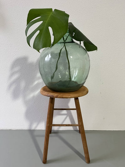 
                  
                    Plantenkrukje - LOUI.STORE
                  
                
