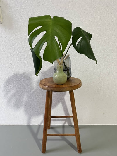 
                  
                    Plantenkrukje - LOUI.STORE
                  
                