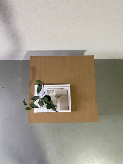 
                  
                    Salontafel buisframe - LOUI.STORE
                  
                