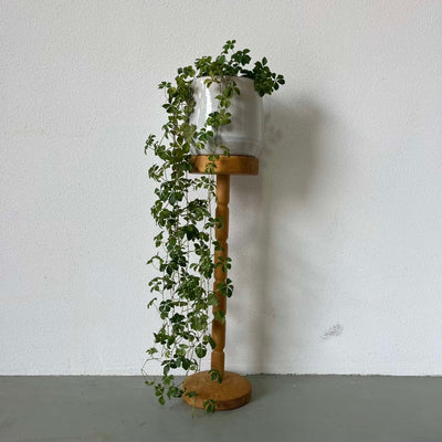 Vintage planten standaard - LOUI.STORE