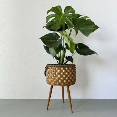 Vintage plantenbak - LOUI.STORE