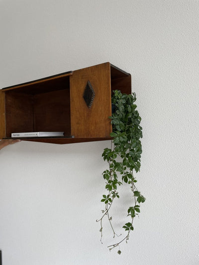 
                  
                    Wandkastje Amsterdamse school - LOUI.STORE
                  
                